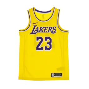 Men's NBA Swingman Jersey Icon Edition 2020 #23 Lebron James Loslak Amarillo/Field Purple